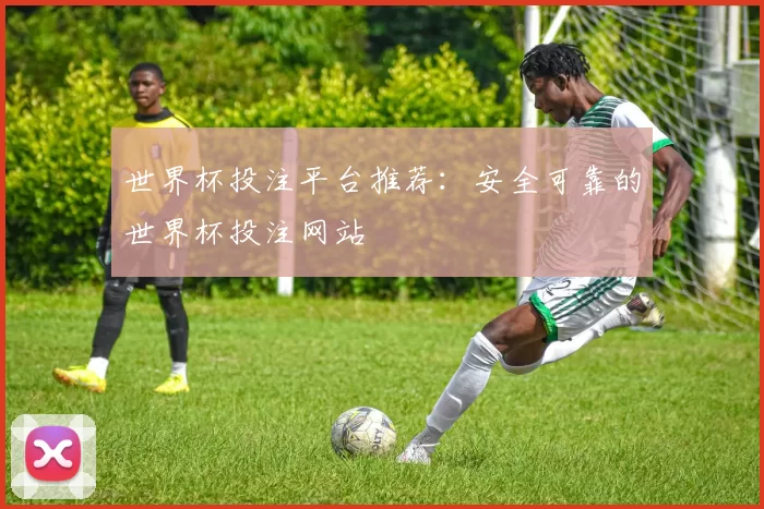 世界杯投注平台推荐:安全可靠的世界杯投注网站