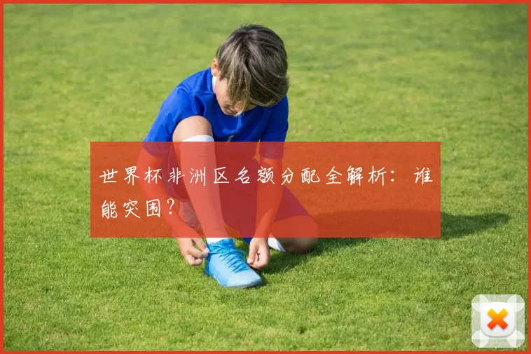 世界杯非洲区名额分配全解析：谁能突围？