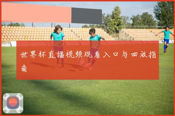 世界杯直播视频观看入口与回放指南