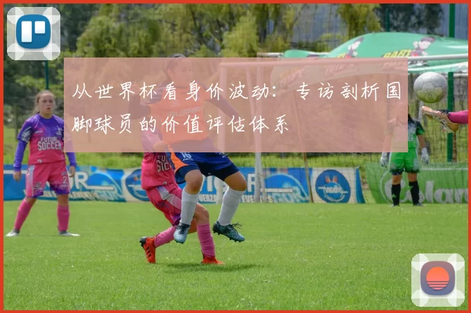 从世界杯看身价波动:专访剖析国脚球员的价值评估体系