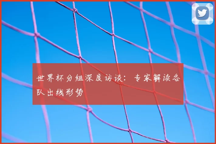 世界杯分组深度访谈：专家解读各队出线形势
