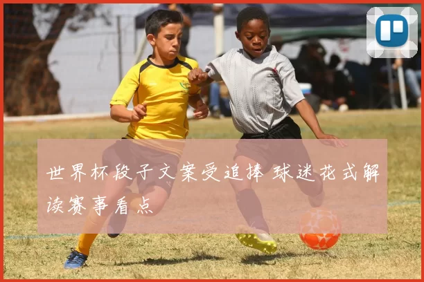 世界杯段子文案受追捧 球迷花式解读赛事看点
