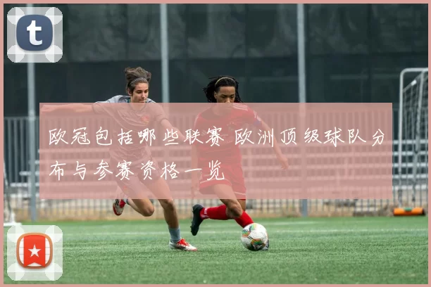 欧冠包括哪些联赛 欧洲顶级球队分布与参赛资格一览