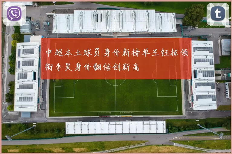 中超本土球员身价新榜单王钰栋领衔李昊身价翻倍创新高